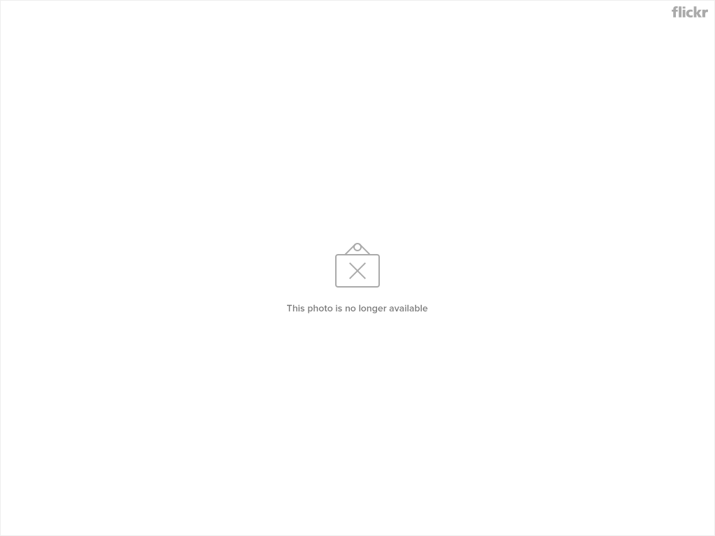 2313272340_ce18a9f9d6_o.png