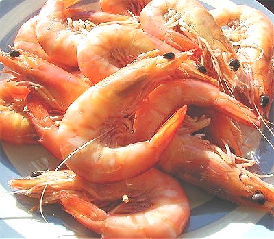 king-prawns.jpg