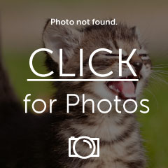 new_year05_1280.jpg