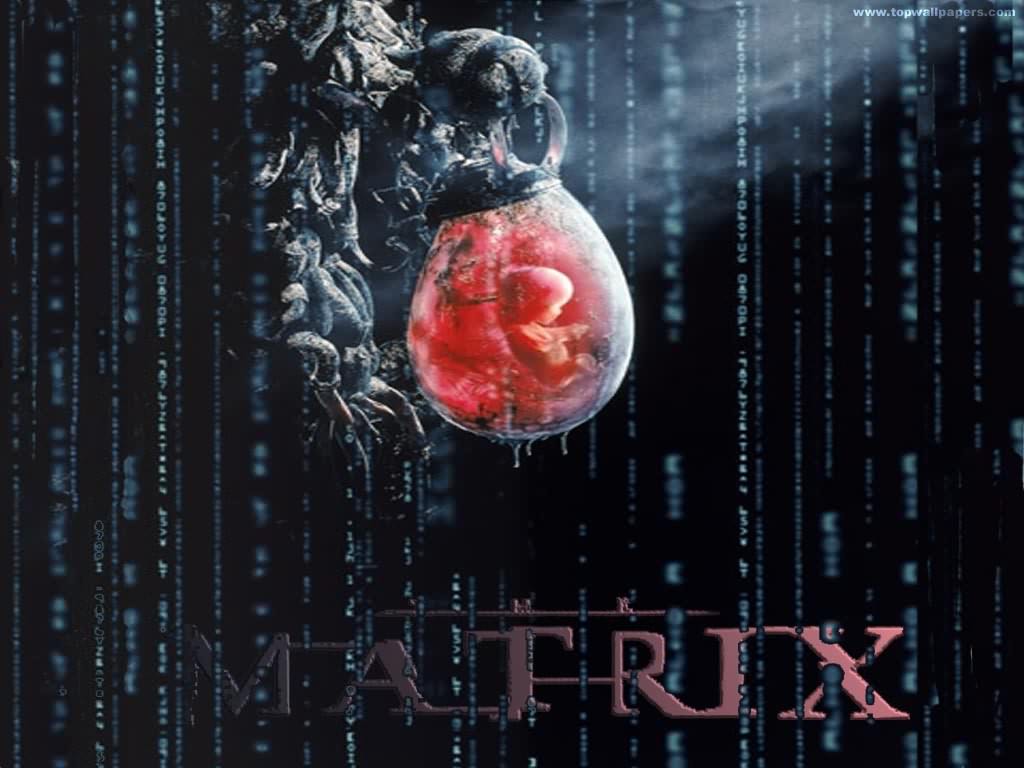 matrixmovie.jpg