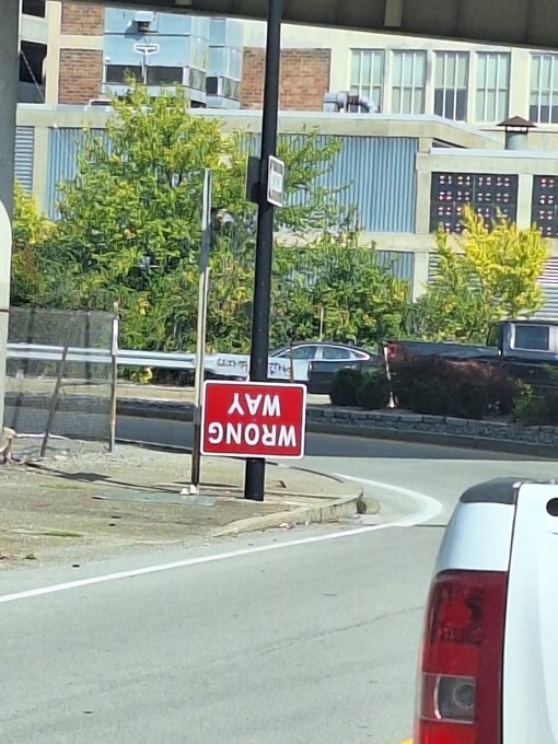 vNXDRopn.jpeg