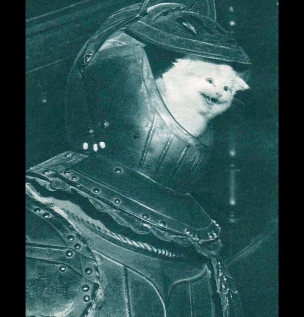 2kUzzmSO.jpg