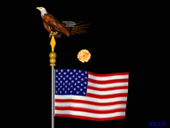 flag_fireworks_animated.gif