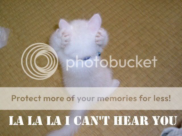 lalala_cant_hear_cat.jpg
